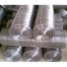 Hot Dipped Galvanized Square Wire Mesh Manufacturer